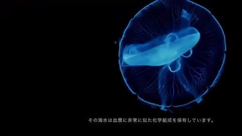 【海洋ミネラル】キントン・アイソトニック【1箱・30本入り】【キントン水】 Amazon | キントン アイソトニックOriginal QUINTON ISOTONIC