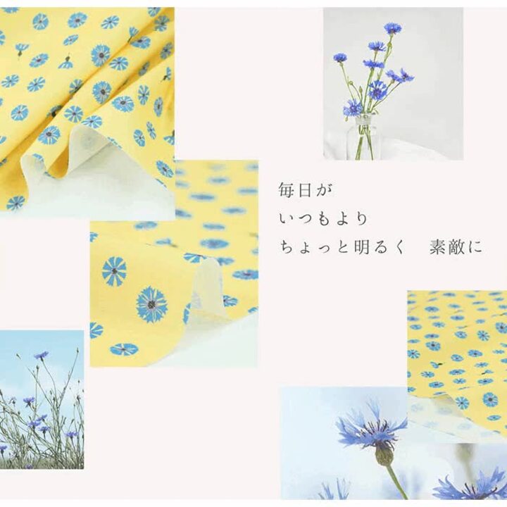 希少 フランス アンティーク 陶器 敷物 矢車菊 青 小花 花柄 希少 フランス アンティーク 陶器 敷物 矢車菊 青 小花 花柄
