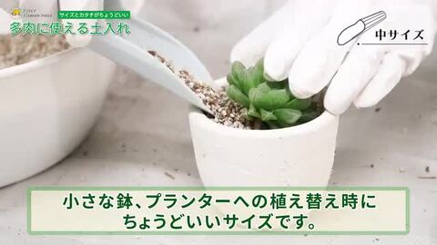 Three of a Kind 3枚セット FG プラ多肉に使える土入れ3点セット グレー| 製品情報 | 浅香