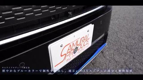 楽天市場】新型ステップワゴン スパーダ RP6 RP7 RP8 フロント