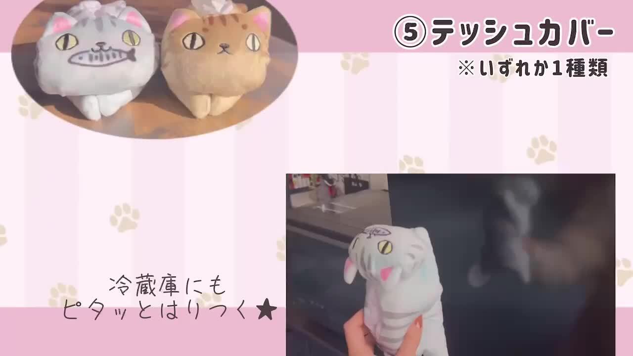 8セット　ねこにゃん2525 ニャンだきみは！？ | アガツマ | ニャンダキミハ | Joshin web