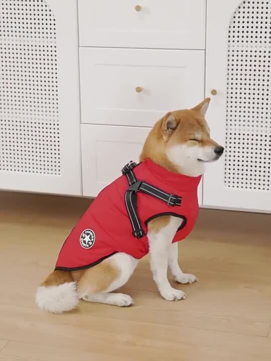 POODLE VARIETY 6冊セット