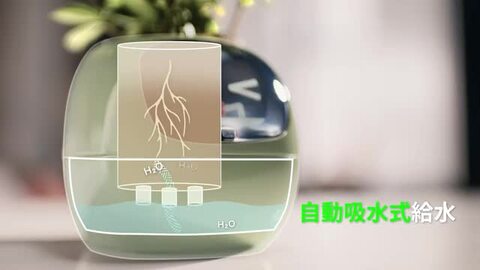 楽天市場】プレゼント、ギフトに喜ばれる!! 家族のような大切な