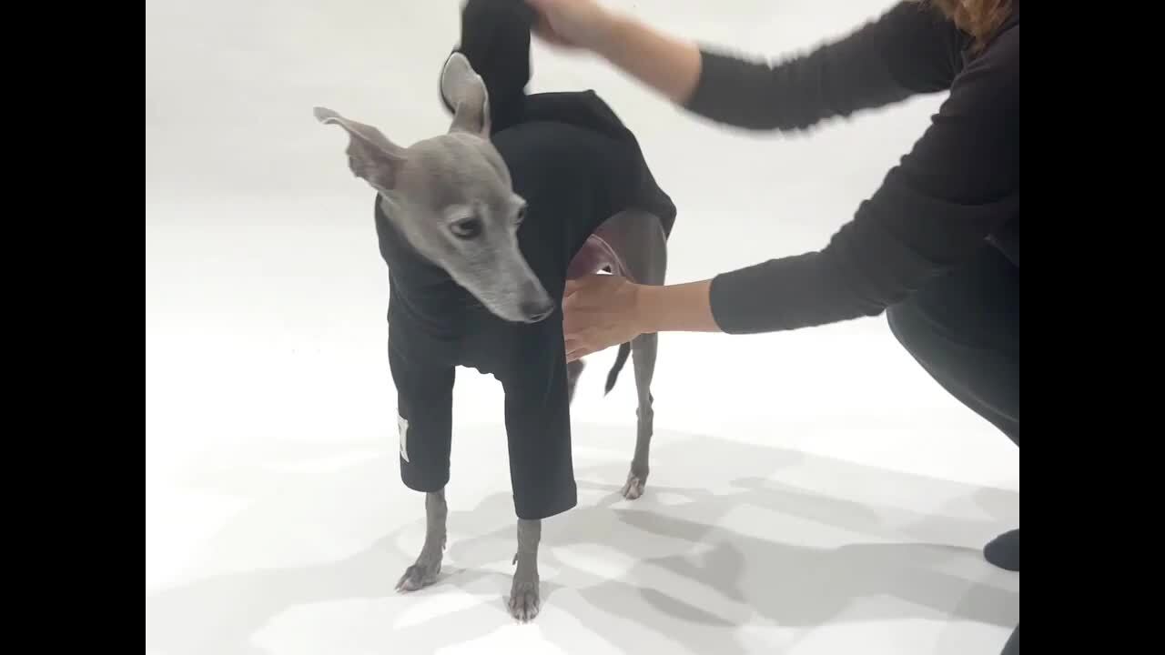 楽天市場】【新色追加】 イタグレ服 吸湿 発熱 抗菌 防臭 ロンパース T