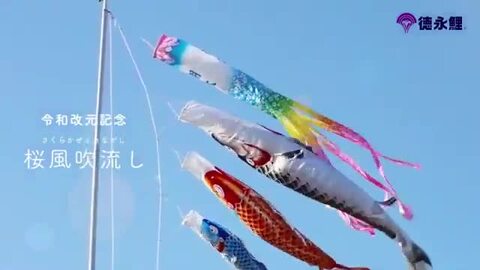 楽天市場】【単品吹流し】桜風吹流し /1.2ｍ/1.5ｍ/2ｍ/3ｍ/4ｍ 