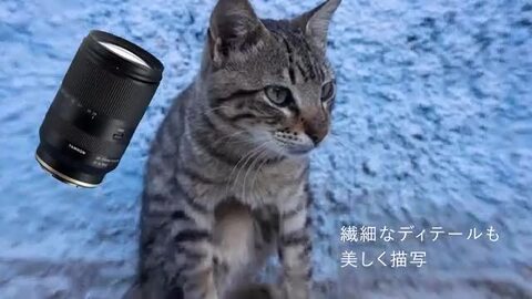 楽天市場】（レビューでレンズキャッププレゼント）【強化ガラス保護