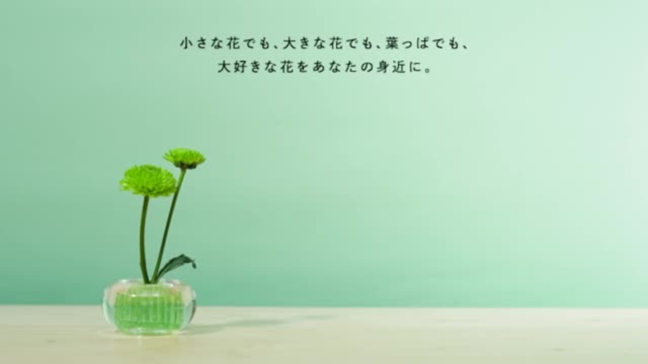 楽天市場】マラソン開催中 +d 【 ミチクサ 】 剣山 h concept