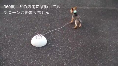 楽天市場】ワンコステーションP 【RD-WSP-1】[アウトドア 係留