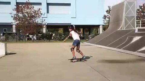 最終値下げ！GO SWINGER ゴースウィンガー スケートボード SK8 GOSK8GOSWINGERゴースウィンガースケートボード期間限定ケース