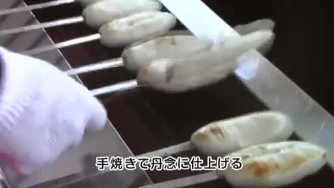 ☆ koko さま　専用　☆ セール】 〈セットアップ対応〉 ZIGNONE クラシックモデル