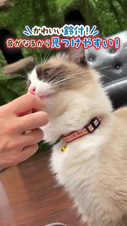 猫用首輪 CAT COLLAR オニギリ グレー | ペティオ オンライン