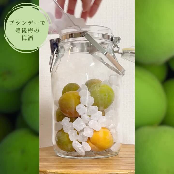 青森県産　青梅 15キロ 青森県産豊後梅 青梅