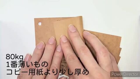 楽天市場】羊皮紙 160kg 788×1091mm 1枚|全5色より1色選択 皮の