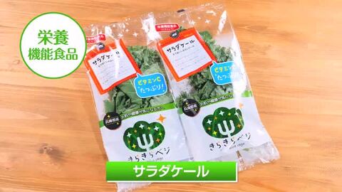 おいしい野菜研究室様　ご注文3kg 楽天市場】【最大10%OFFクーポン】 きらきらベジ お試し 野菜