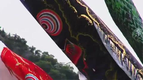 楽天市場】庭園用 こいのぼり豪6m8点セット（こいのぼり