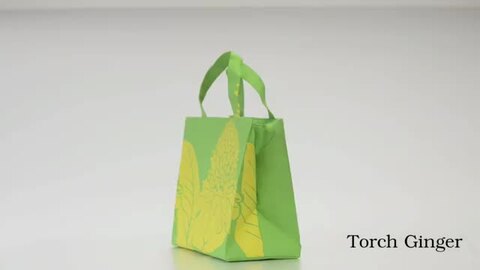 パラカ　フラ　パウ パラカ（チェック）のパウスカート