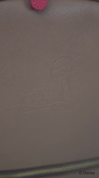 Disney レザー ミニリュック 『わんわん物語』デザイン