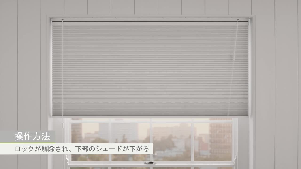 新品未使用　TUISS DECOR 楽天市場】【11/3まで限定P3倍】累計1,000万台突破！ tuiss