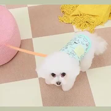 犬服ハンドメイド着ＸＸＳサイズ ハンドメイド犬服 XXS〜XLサイズ 前開きロンパース オーダー頁