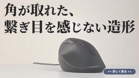 明和 エルフォード」200系ランドクルーザー（ランクル）ZX 後期