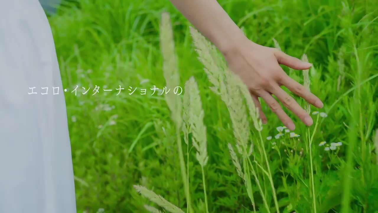 楽天市場】グリチルリチン酸ジカリウム 保湿 うるおい ギフト