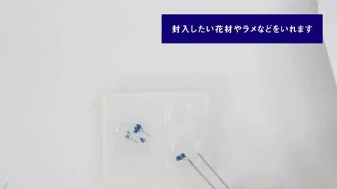 星の雫様 403242_1.jpg