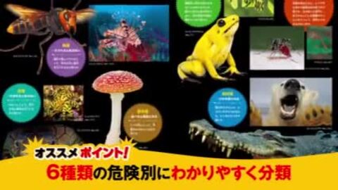 楽天ブックス: 小学館の図鑑NEO 危険生物 DVDつき - 塩見 一雄