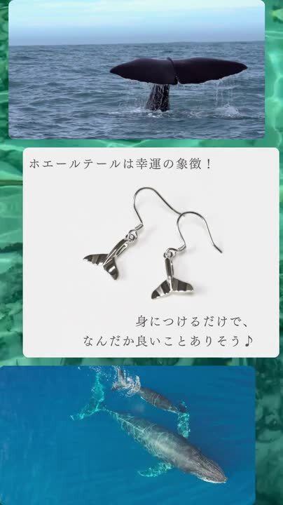 マーメイドテール 人魚の尻尾 ピアス ハワイ Bella Anela #312 org_1.jpg