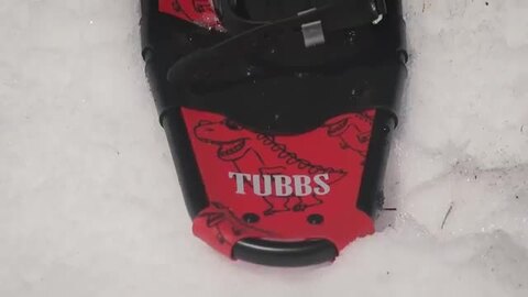 楽天市場】TUBBS タブス BOYS' FLEX JR KID'S スノーボード