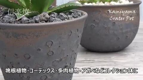 紫砂黒雲足梅花鉢 多肉植物鉢 工芸置物 陶器鉢 植木鉢 RAIZO2 φ16cm ガンメタリック 黒 脚付き おしゃれ