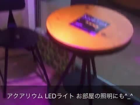 楽天市場】アクアリウム LED ライト 水槽 照明 27W 9LED 赤×1 白