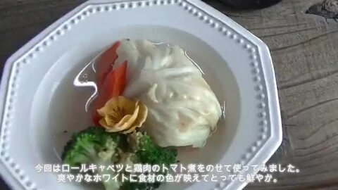 cogu オクトゴナルプレート皿2点セット cogu オクトゴナルプレート皿2点セット