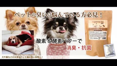 ファッション通販 ペットの臭い対策に しっかり消臭 抗菌 10個セット 洗剤 獣臭 臭い ゲージ シート 猫 犬 人気 30g 8包 抗菌 消臭 ペット用品専用洗浄剤 ノンスペット 犬用品 Www Sanjaycomedy Com