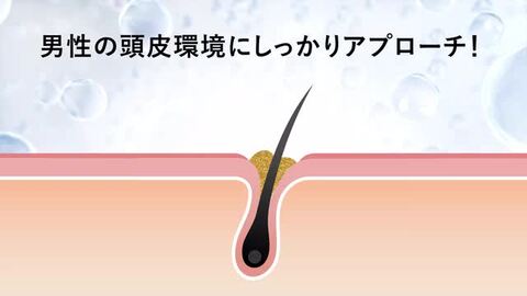 楽天市場】【300円クーポンあり】 シャンプー トリートメント