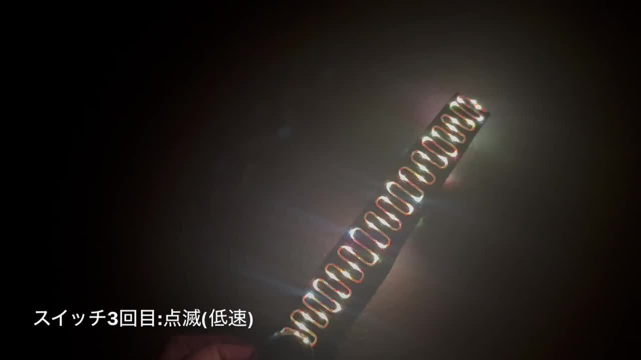 楽天市場】【マンダリンブラザーズ】ナイトスケープLED リーシュ