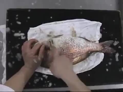 楽天市場 魚ウロコ取り器 鱗トル 高強度食品用ゴム Pu 001 鯛やヒラメ 小魚などあらゆる魚のうろこ取り 下処理 に 8 0505 1101 業務用メラミン食器の通販kyoei