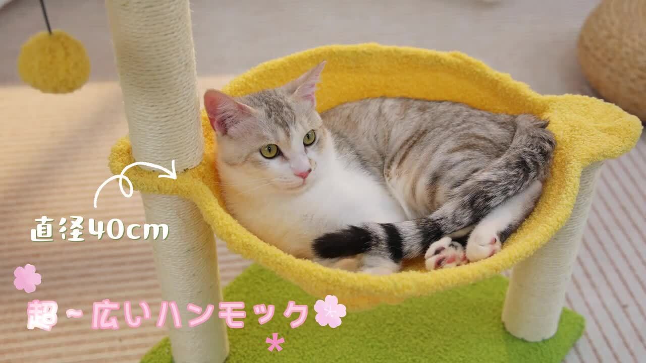 小物 K_ 楽天市場】【10%OFF☆スーパーSALE】キャットタワーミニ 猫