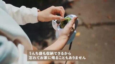 楽天市場】【獣医師監修】 MOFMORE 犬 光るリード うんち袋 収納可能