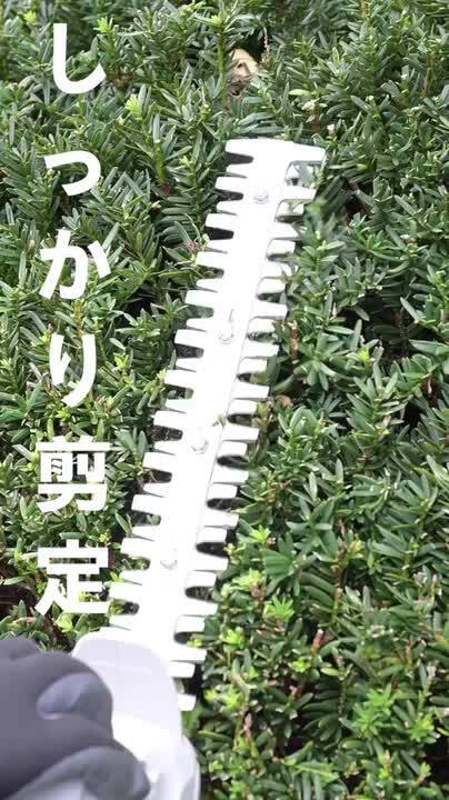 楽天市場】【電池パック1個増量中】10.8V コードレス 4WAY高枝