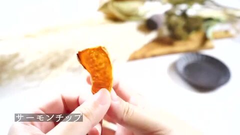 楽天市場】にゃんにゃんチョイス4◇北海道産 猫 おやつ 無添加