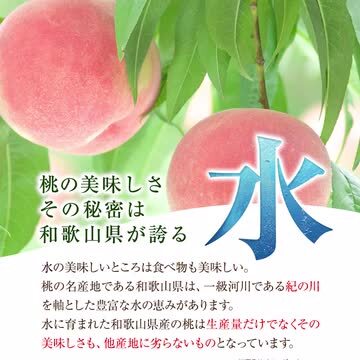 楽天市場】【ふるさと納税】あら川の桃 約2kg(5~8玉) 坂口農園《2024年