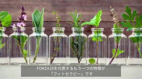 楽天市場】フォルツァ10 デルモ アクティブドッグ 2kg 犬 フード ...