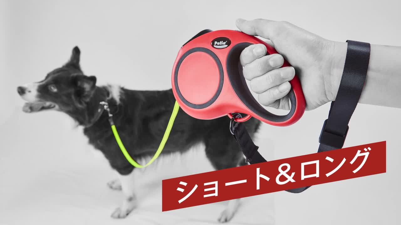 【オープニング 大放出セール】 犬用伸縮リード オンライン ペティオ | グレー M リールリードEX タレント・お笑い芸人