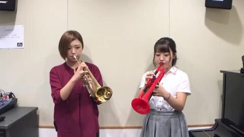 楽天市場】【5と0のつく日はP5倍 + エントリーでさらにP5倍】pTrumpet