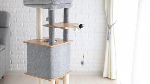 雷撃猫　ヨーヨー50個 Amazon | 【Amazon.co.jpの限定】動物撃退器 猫よけ 猫避け