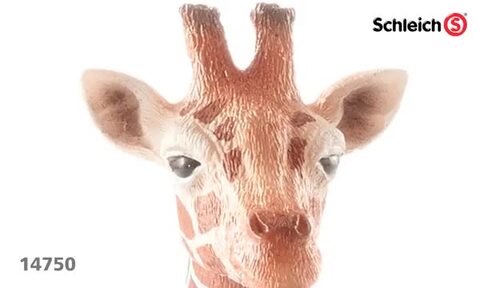 シュライヒ ワイルドライフ キリン (メス) フィギュア 14750 w17b8b5 Amazon.co.jp: シュライヒ(Schleich) ワイルドライフ キリン