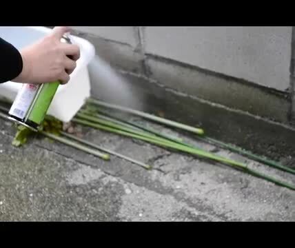 楽天市場】ムカデ駆除 480ml ムシクリンムカデ用エアゾール 速効 楽天市場】ムカデ駆除 480ml ムシクリンムカデ用エアゾール 速効
