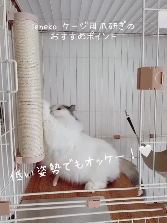 楽天市場】猫 爪とぎ 麻棒 ケージ取り付け つめとぎ ネコ爪とぎ