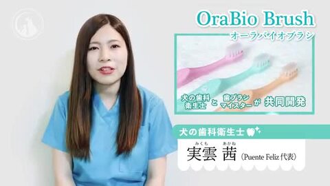 楽天市場】K−ブラッシュL 30ml スプレータイプ×オーラバイオ 楽天市場】K−ブラッシュL 30ml スプレータイプ×オーラバイオ