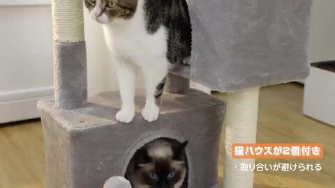 楽天市場】キャットタワー コンパクト 据え置き 隠れ家 2つ ミニ